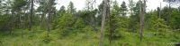panorama Paterák