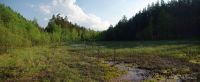 panorama Rašeliniště Černého rybníka