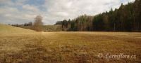 rašeliniště Vidlák panorama